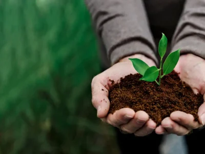 Natureza na Eco Lógica Engenharia Soluções Sustentáveis em Tianguá Ceará